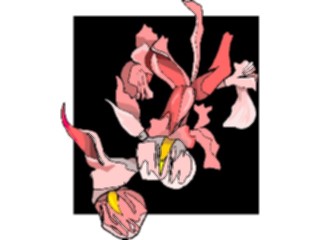 Sticker Custom Preview Image #103639 Plants Flowers Flowers Flower429