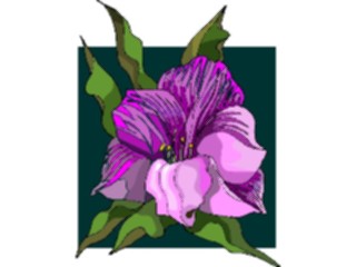 Sticker Custom Preview Image #103640 Plants Flowers Flowers Flower430