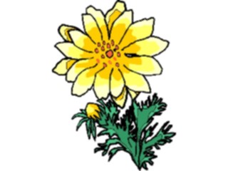 Sticker Custom Preview Image #103642 Plants Flowers Flowers Flower432