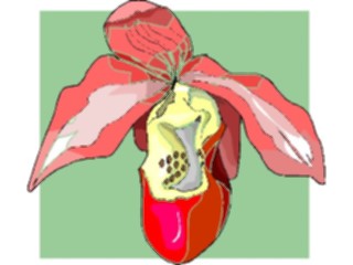 Sticker Custom Preview Image #103643 Plants Flowers Flowers Flower433