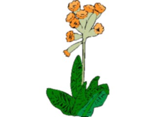 Sticker Custom Preview Image #103646 Plants Flowers Flowers Flower436