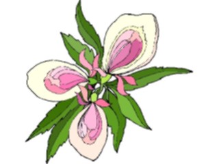 Sticker Custom Preview Image #103659 Plants Flowers Flowers Flower449