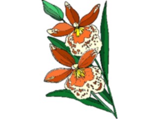 Sticker Custom Preview Image #103663 Plants Flowers Flowers Flower453