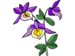 Sticker Custom Preview Image #103664 Plants Flowers Flowers Flower454