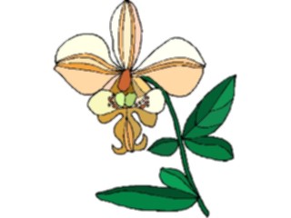 Sticker Custom Preview Image #103667 Plants Flowers Flowers Flower457