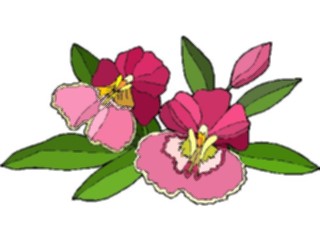 Sticker Custom Preview Image #103669 Plants Flowers Flowers Flower459