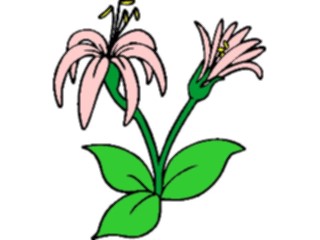 Sticker Custom Preview Image #103676 Plants Flowers Flowers Flower466