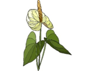 Sticker Custom Preview Image #103684 Plants Flowers Flowers Flower474