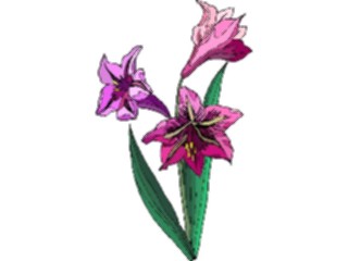 Sticker Custom Preview Image #103691 Plants Flowers Flowers Flower481