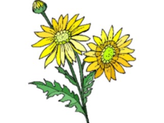 Sticker Custom Preview Image #103696 Plants Flowers Flowers Flower486