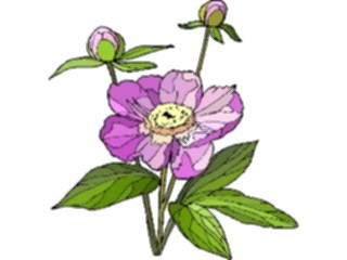 Sticker Custom Preview Image #103697 Plants Flowers Flowers Flower487