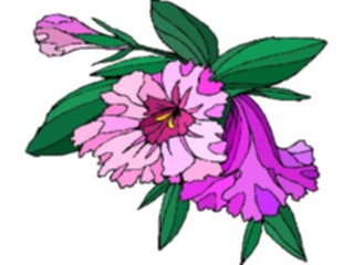 Sticker Custom Preview Image #103698 Plants Flowers Flowers Flower488