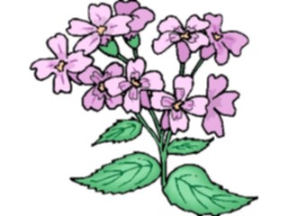 Sticker Custom Preview Image #103703 Plants Flowers Flowers Flower493