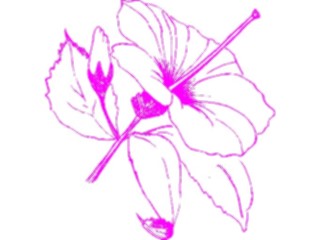 Sticker Custom Preview Image #103711 Plants Flowers Flowers Flower501