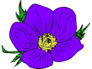 Sticker Custom Preview Image #103714 Plants Flowers Flowers Flower504