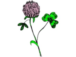 Sticker Custom Preview Image #103716 Plants Flowers Flowers Flower506