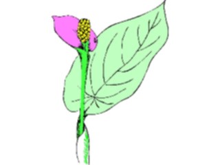 Sticker Custom Preview Image #103718 Plants Flowers Flowers Flower508