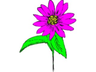 Sticker Custom Preview Image #103720 Plants Flowers Flowers Flower510