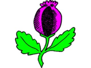 Sticker Custom Preview Image #103727 Plants Flowers Flowers Flower517