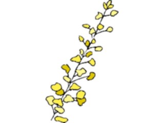 Sticker Custom Preview Image #103737 Plants Flowers Flowers Flower527