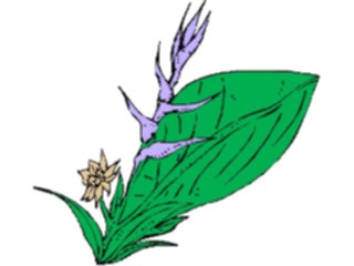 Sticker Custom Preview Image #103740 Plants Flowers Flowers Flower530