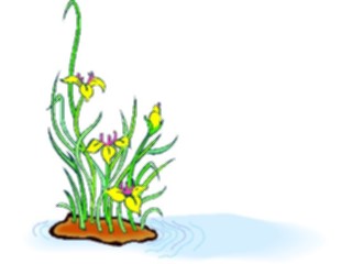 Sticker Custom Preview Image #103801 Plants Flowers Flowers Flower Border008