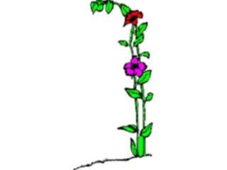 Sticker Custom Preview Image #103904 Plants Flowers Flowers Flower Border111