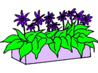Sticker Custom Preview Image #103905 Plants Flowers Flowers Flower Box
