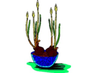 Sticker Custom Preview Image #103907 Plants Flowers Flowers Flower Bulbs