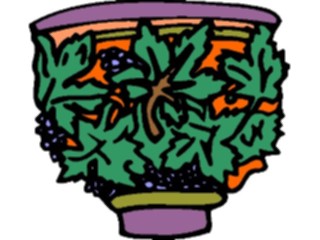 Sticker Custom Preview Image #104055 Plants Flowers Flowers Flower Pot2