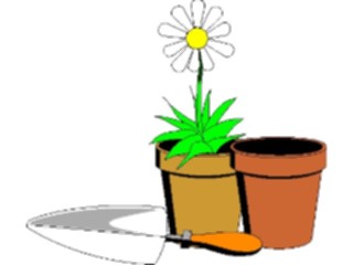 Sticker Custom Preview Image #104059 Plants Flowers Flowers Flower Pots