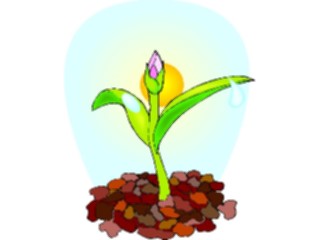 Sticker Custom Preview Image #104066 Plants Flowers Flowers Flower Sprouting