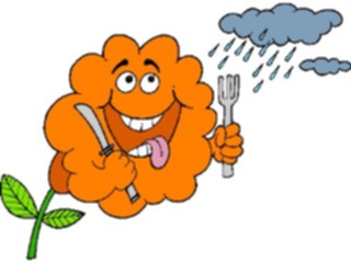 Sticker Custom Preview Image #104068 Plants Flowers Flowers Flower Thirsty