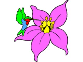 Sticker Custom Preview Image #104080 Plants Flowers Flowers Flowerwith Hummingbird