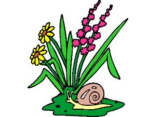 Sticker Custom Preview Image #104082 Plants Flowers Flowers Flowerwith Snail