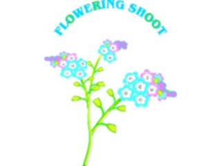 Sticker Custom Preview Image #104084 Plants Flowers Flowers Flowering Shoot