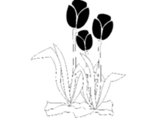 Sticker Custom Preview Image #104087 Plants Flowers Flowers Flowers003