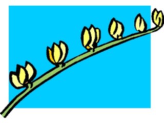 Sticker Custom Preview Image #104098 Plants Flowers Flowers Flowers014