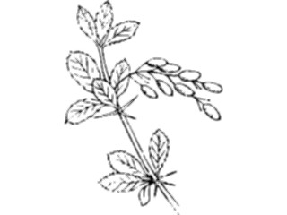 Sticker Custom Preview Image #104106 Plants Flowers Flowers Flowers022