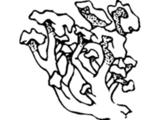 Sticker Custom Preview Image #104107 Plants Flowers Flowers Flowers023