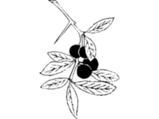 Sticker Custom Preview Image #104108 Plants Flowers Flowers Flowers024