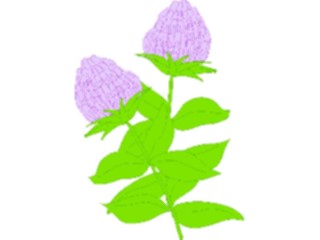 Sticker Custom Preview Image #104113 Plants Flowers Flowers Flowers029