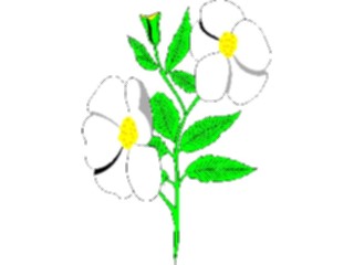 Sticker Custom Preview Image #104122 Plants Flowers Flowers Flowers038