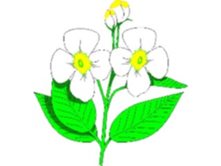 Sticker Custom Preview Image #104126 Plants Flowers Flowers Flowers042