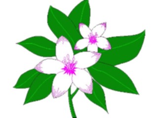 Sticker Custom Preview Image #104127 Plants Flowers Flowers Flowers043