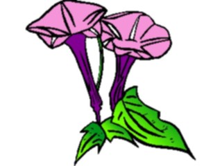 Sticker Custom Preview Image #104135 Plants Flowers Flowers Flowers051