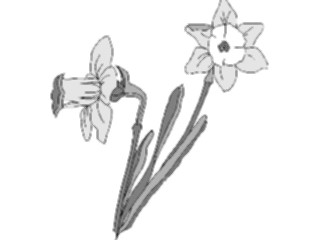 Sticker Custom Preview Image #104136 Plants Flowers Flowers Flowers052