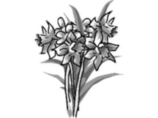 Sticker Custom Preview Image #104137 Plants Flowers Flowers Flowers053