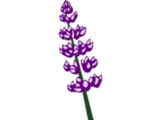 Sticker Custom Preview Image #104151 Plants Flowers Flowers Flowers067