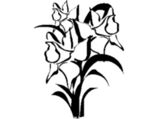 Sticker Custom Preview Image #104154 Plants Flowers Flowers Flowers070